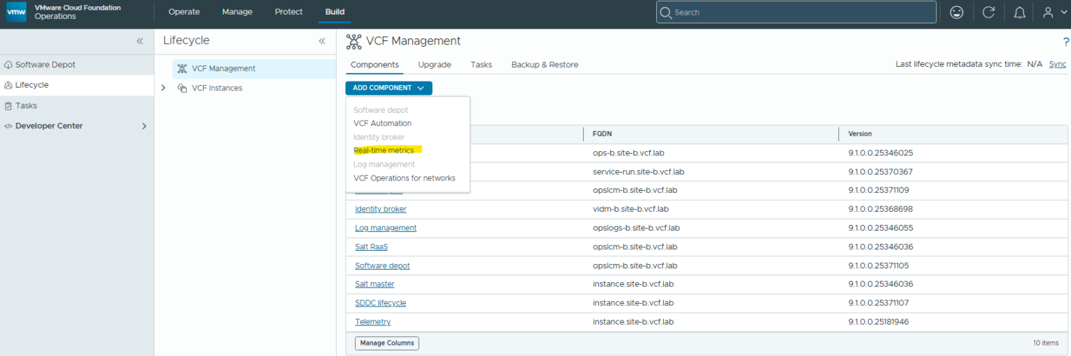 VCF 9.1 – What’s New? VCF Operations Real-Time Metrics ...